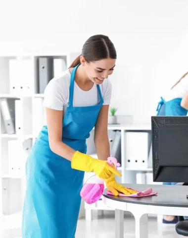 professional Cleaning in minnesota